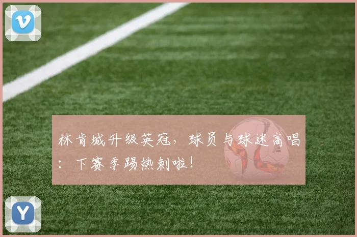 林肯城升级英冠，球员与球迷高唱：下赛季踢热刺啦！