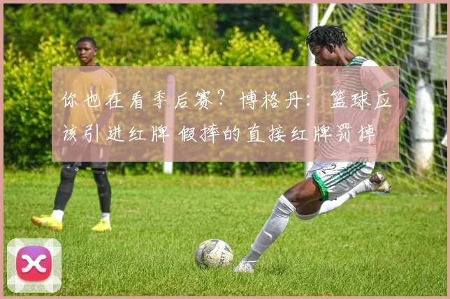 你也在看季后赛？博格丹：篮球应该引进红牌 假摔的直接红牌罚掉